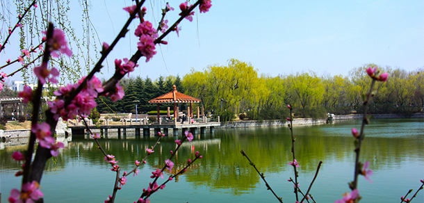 我的大學-大学志