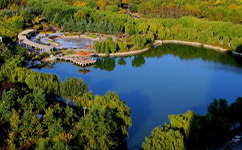 历史沿革（概）校史