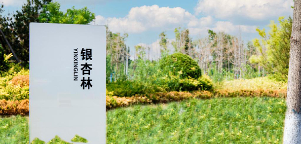 我的大學-大学志