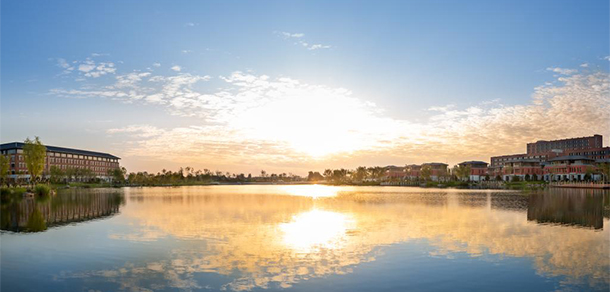 我的大學-大学志