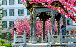 曲阜师范大学 - 我的大学