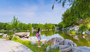 山东财经大学-校园风光