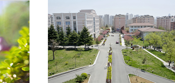 青岛滨海学院 - 最美大学