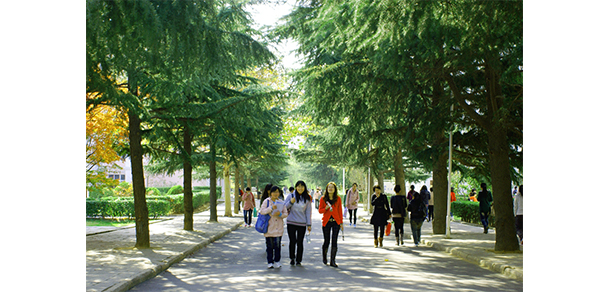 青岛滨海学院 - 最美大学