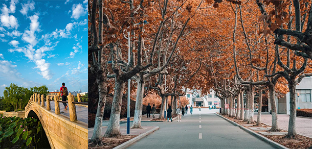 烟台大学 - 最美大学