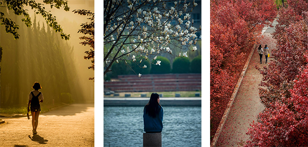 烟台大学 - 最美大学