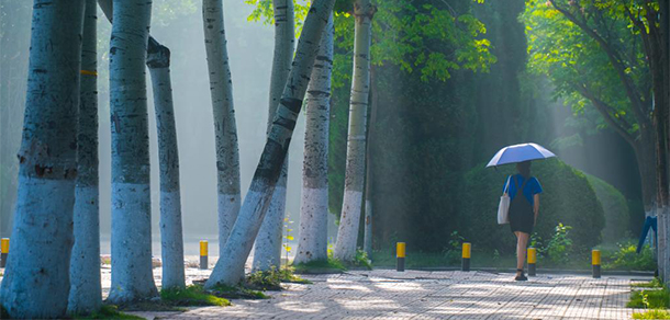 烟台大学 - 最美大学