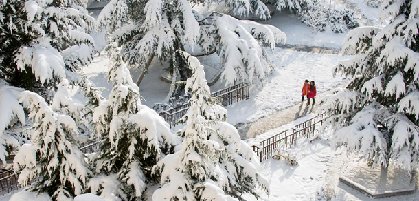 烟台大学 - 最美大学