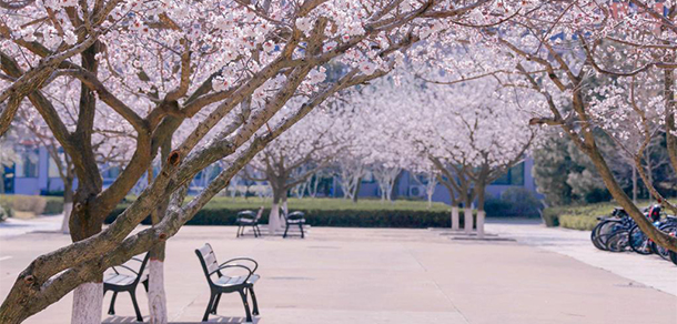 我的大學-大学志