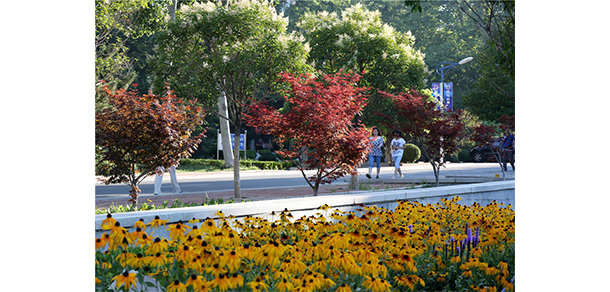 山东工商学院 - 最美大学