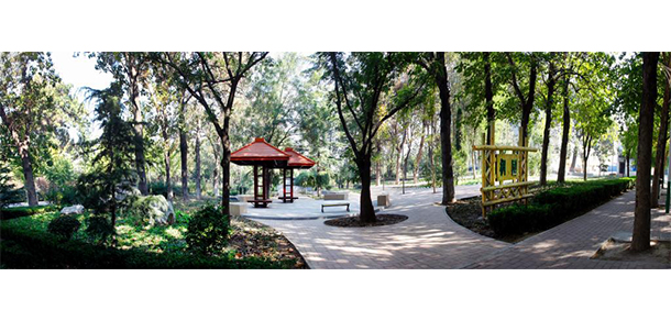 潍坊科技学院 - 最美大学