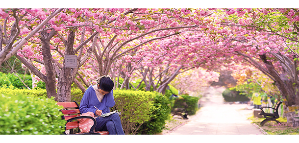 潍坊科技学院 - 最美大学