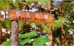 青岛恒星科技学院 - 我的大学