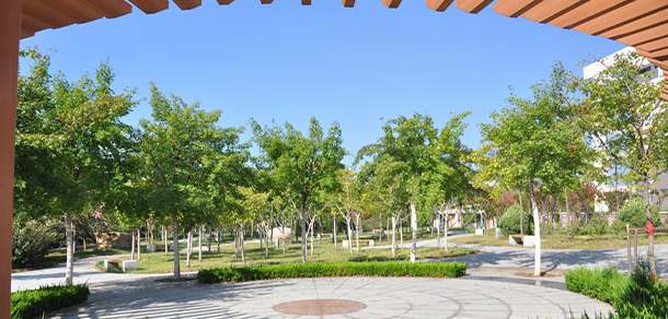 青岛黄海学院 - 最美大学