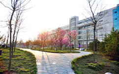 青岛黄海学院 - 我的大学