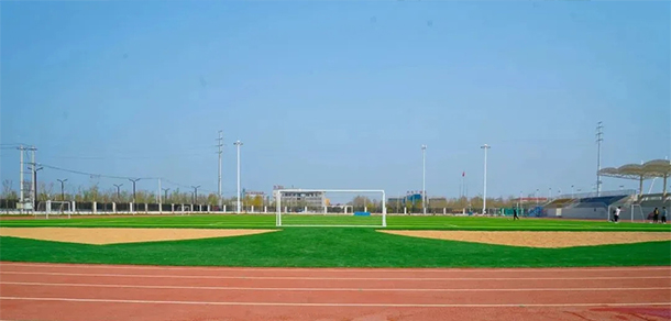 聊城大学东昌学院 - 最美大学