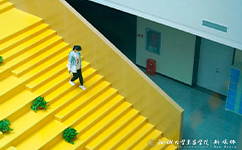 聊城大学东昌学院 - 我的大学