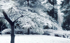 山东石油化工学院 - 我的大学