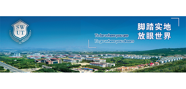 山东外国语职业技术大学