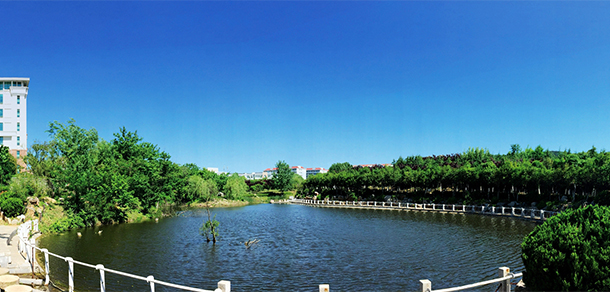 山东外国语职业技术大学 - 最美大学