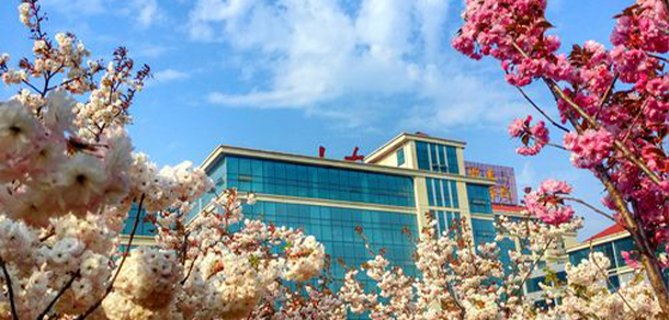 山东外国语职业技术大学 - 最美大学