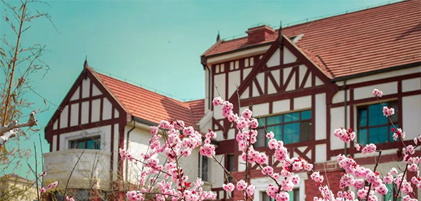 山东外国语职业技术大学 - 最美大学