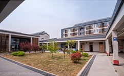 泰山科技学院 - 我的大学