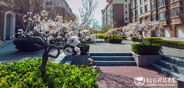 烟台科技学院 - 最美大学