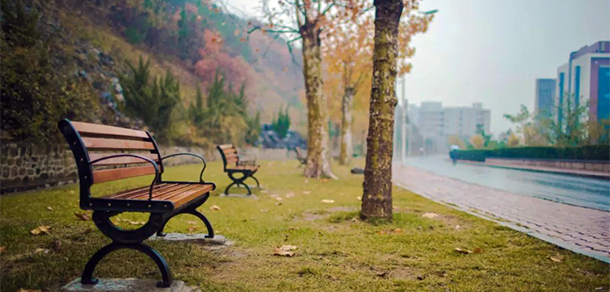 烟台科技学院 - 最美大学