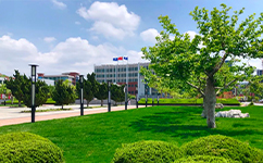 烟台科技学院 - 我的大学