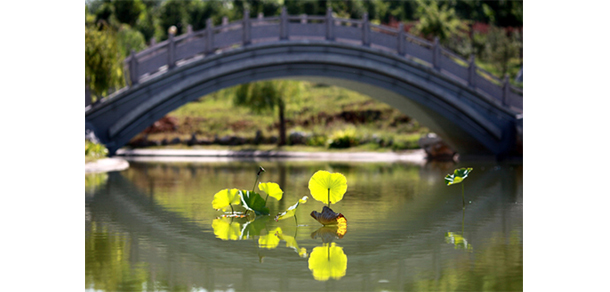 齐鲁师范学院 - 最美大学
