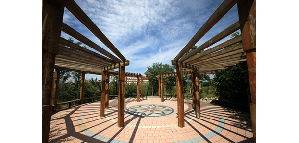 齐鲁师范学院 - 最美大学