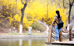 齐鲁师范学院 - 我的大学