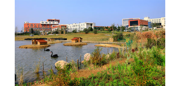 青岛电影学院 - 最美大学