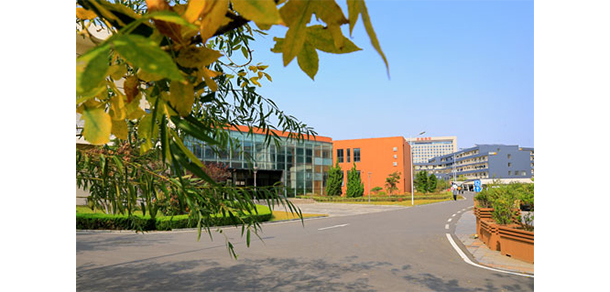 青岛电影学院 - 最美大学