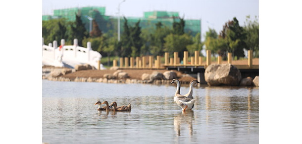 青岛电影学院 - 最美大学