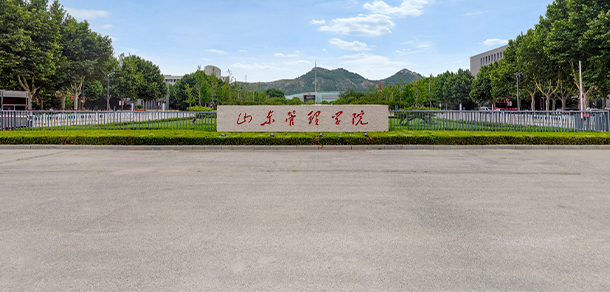 山东管理学院