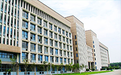 文化标识：校名题写 / 校徽设计