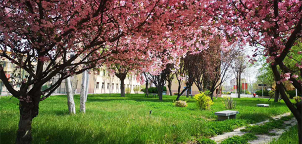 东营职业学院 - 最美大学