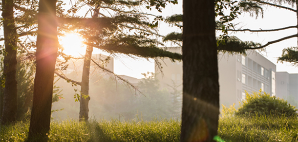 东营职业学院 - 最美大学