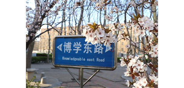 德州科技职业学院 - 最美大学