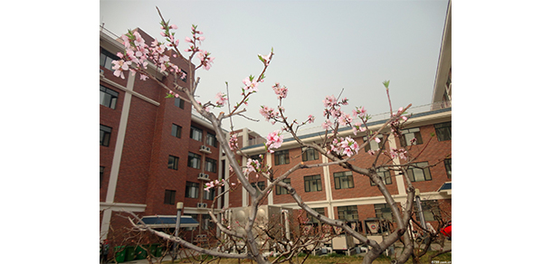 山东力明科技职业学院 - 最美大学