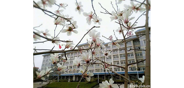 山东力明科技职业学院 - 最美大学