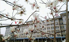 山东力明科技职业学院 - 我的大学