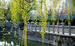 招生公告 · 招生简章 · 招生计划