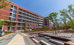 山东外贸职业学院 - 我的大学