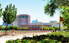 文化标识：校名题写 / 校徽设计