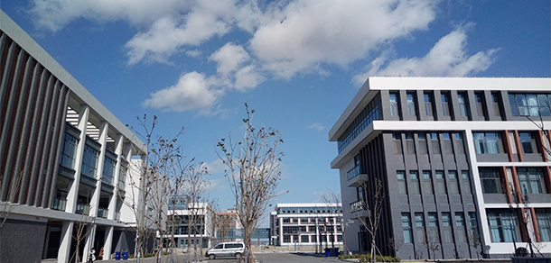 我的大學-大学志