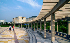 文化标识：校名题写 / 校徽设计