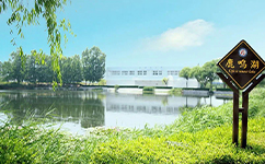 文化标识：校名题写 / 校徽设计